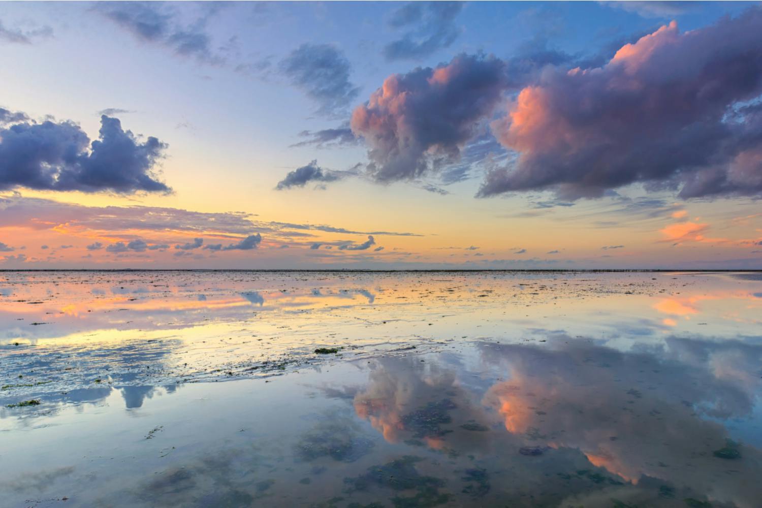 Spejlning i vandet overflade.